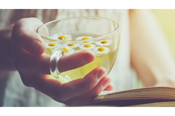 أضرار شرب البابونج قبل النوم