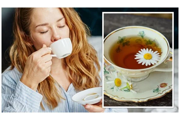 كيف تم التأكد من فعالية البابونج على النوم