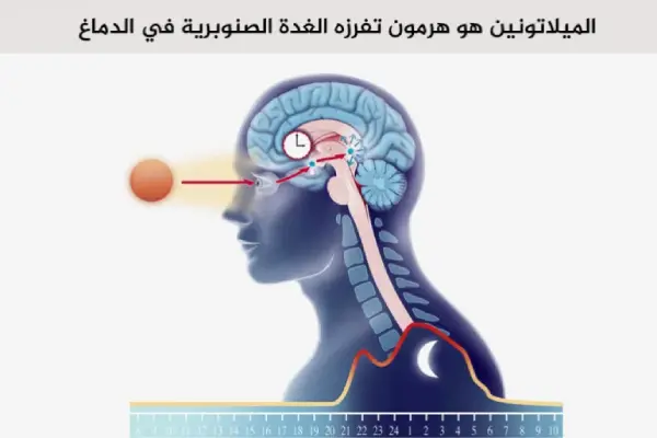 معلومات حول جي بي ميلاتونين حبوب