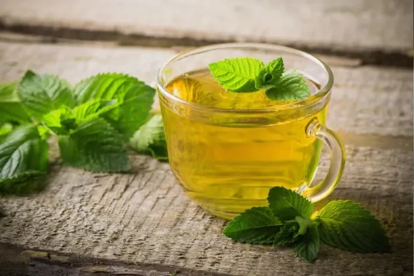 فوائد شرب شاي اخضر بالنعناع قبل النوم