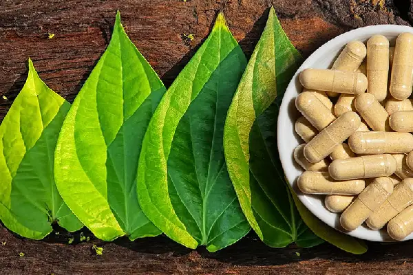 كيفية استخدام عشبة الكافا