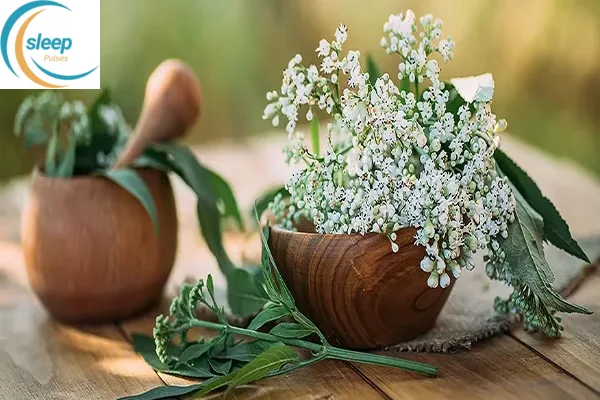 فوائد عشبة الناردين للنوم